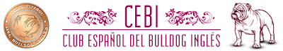 Club Español del Bulldog Inglés - CEBI