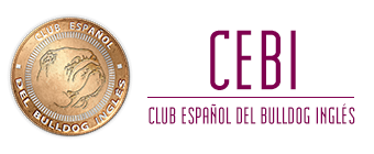 CEBI | Club Español del Bulldog Inglés España
