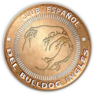 CEBI | Club Español del Bulldog Inglés España
